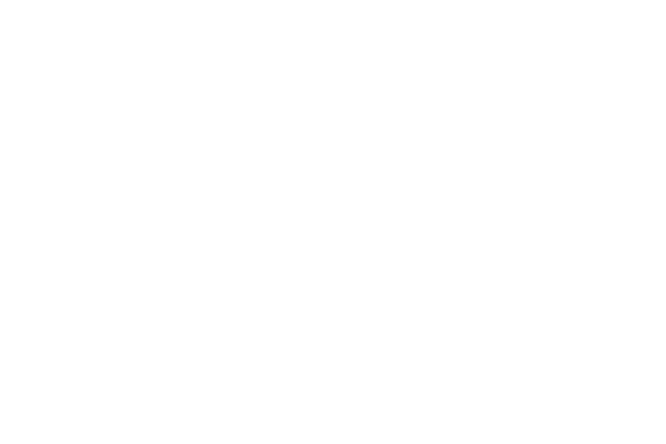 totyota